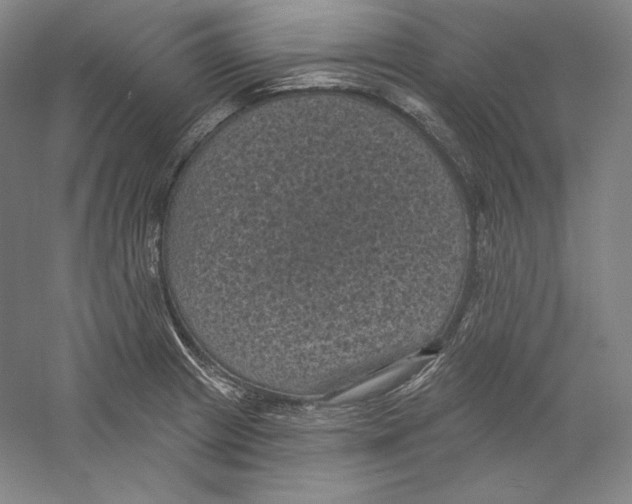 X0000059221233200511111513