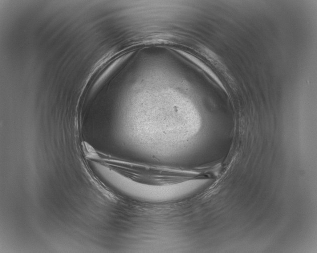 X0000059221234200511111513