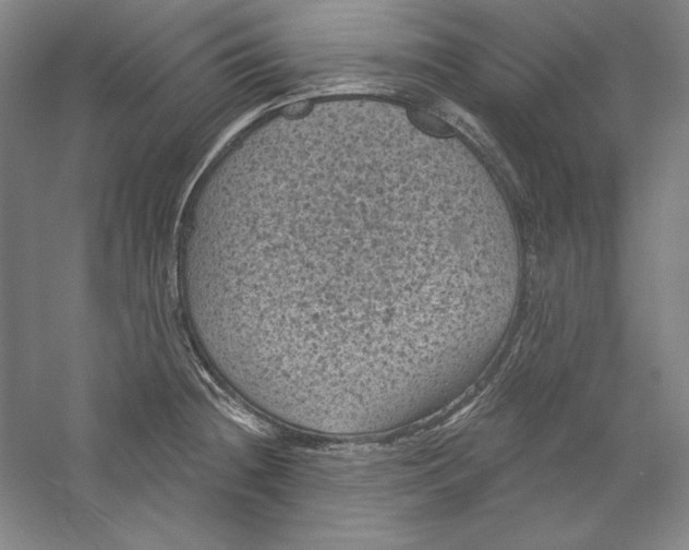 X0000059221236200511111513