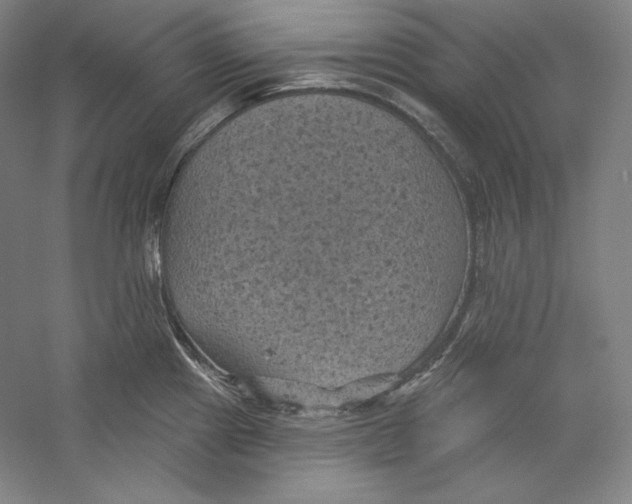 X0000059221241200511111513