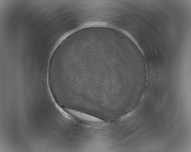 X0000059221245200511111513