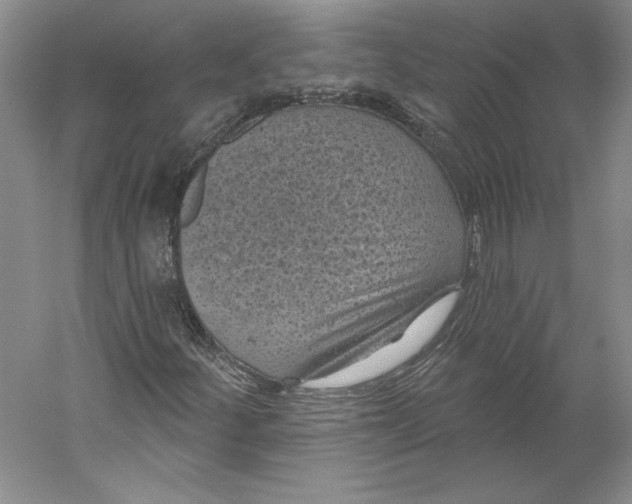 X0000059221252200511111512