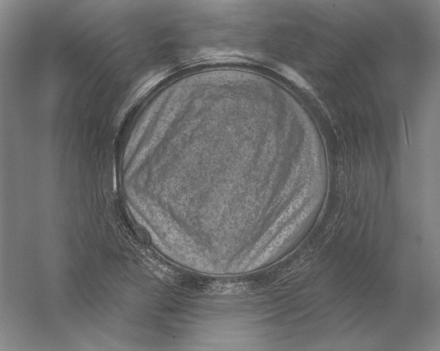 X0000059221269200511111512