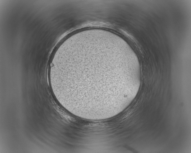 X0000059221272200511111512