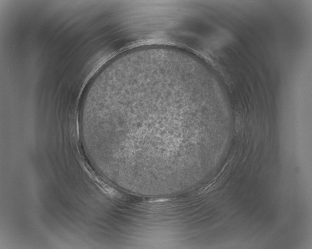 X0000059221274200511111512