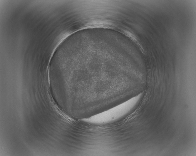 X0000059221275200511111512