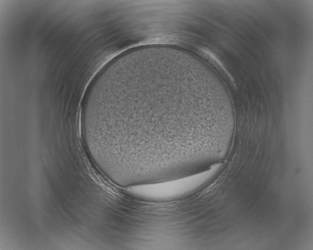 X0000059221276200511111512