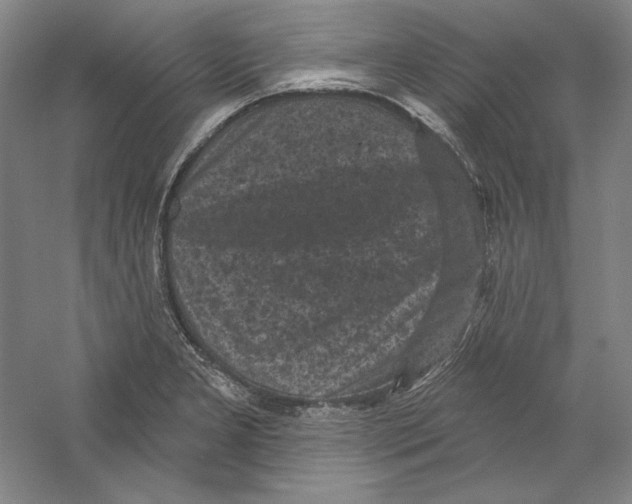 X0000059221277200511111512