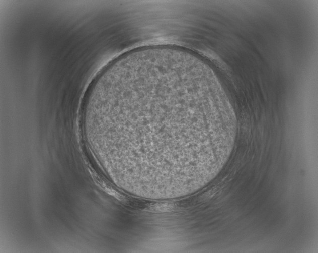 X0000059221278200511111512
