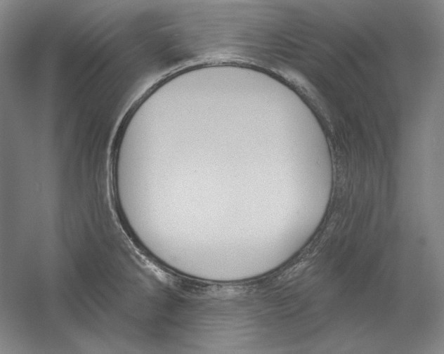 X0000059221286200511111512