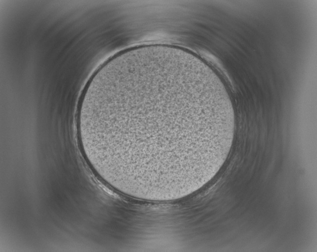 X0000059221288200511111512