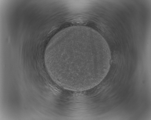 X0000059221297200511111511