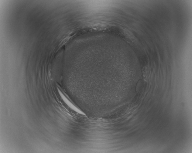 X0000059221298200511111511