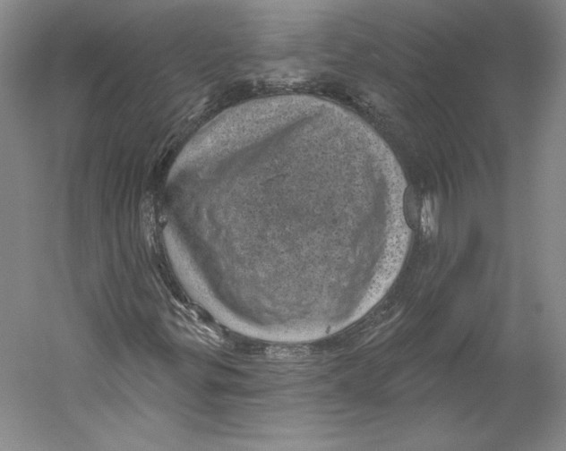 X0000059221299200511111511