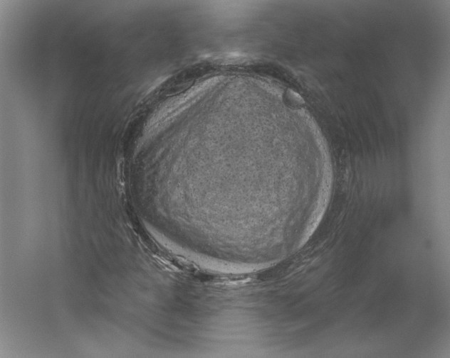 X0000059221301200511111511