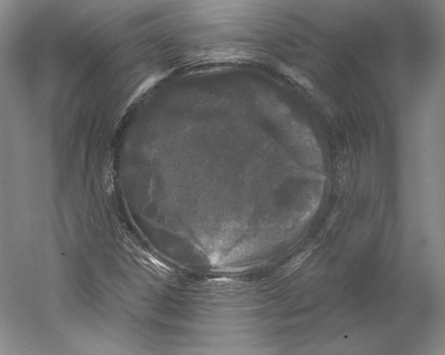 X0000059221306200511111511