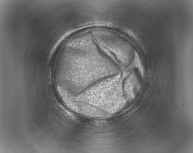 X0000059221310200511111511