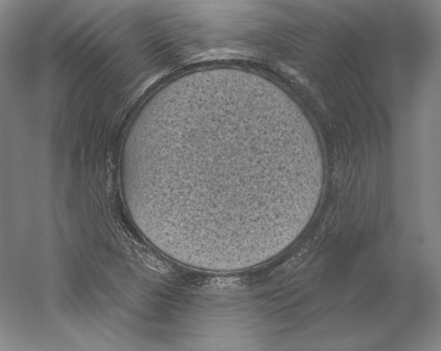 X0000059221313200511111511