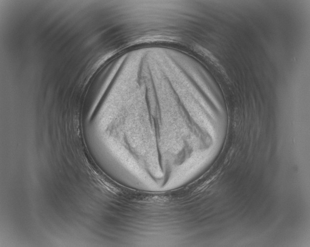 X0000059221321200511111511