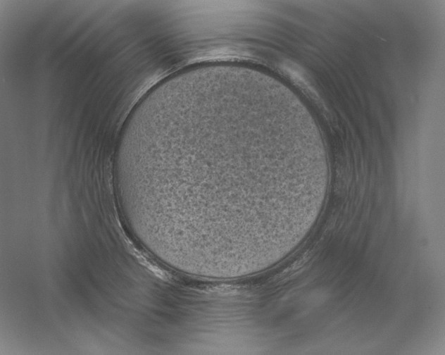X0000059221329200511111511