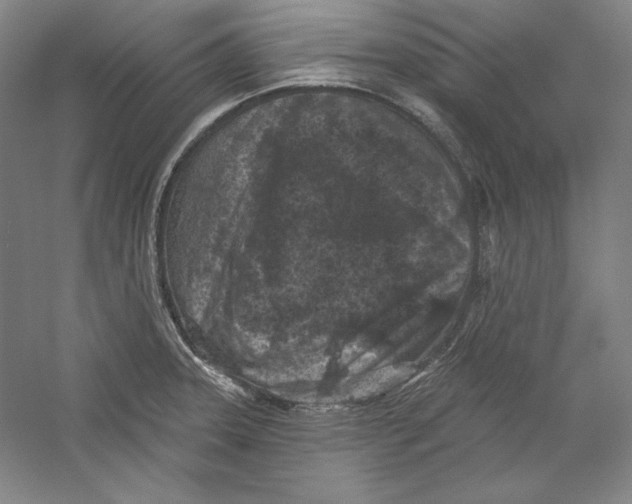 X0000059221331200511111511