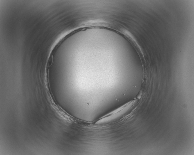 X0000059221336200511111512