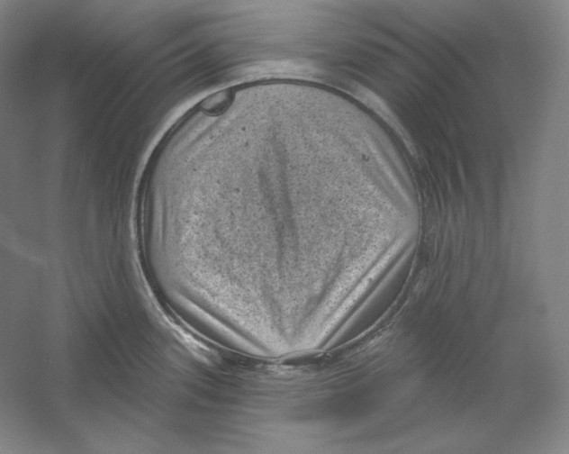 X0000059221339200511111512