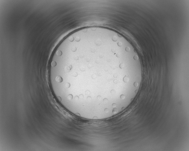 X0000059221340200511111512