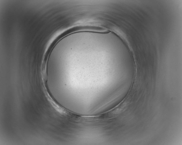 X0000059221344200511111512