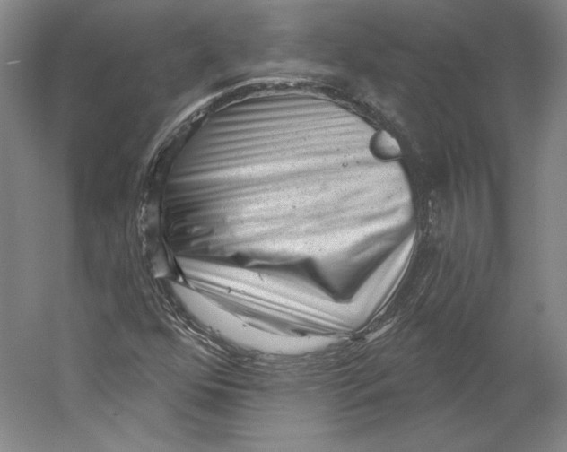 X0000059221352200511111511