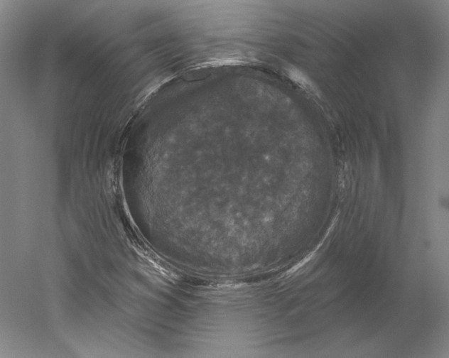 X0000059221353200511111511