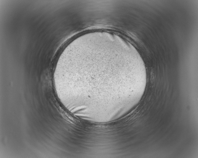 X0000059221356200511111511