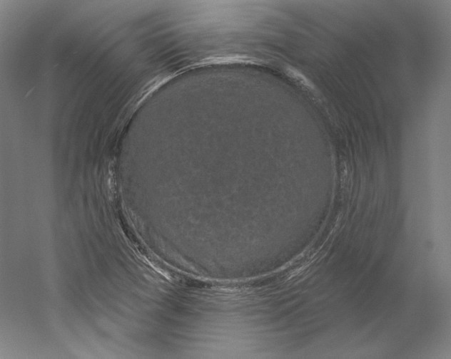 X0000059221361200511111511