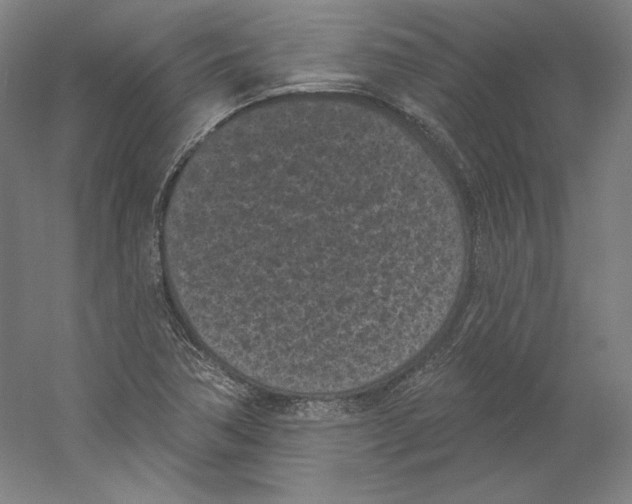 X0000059221362200511111511