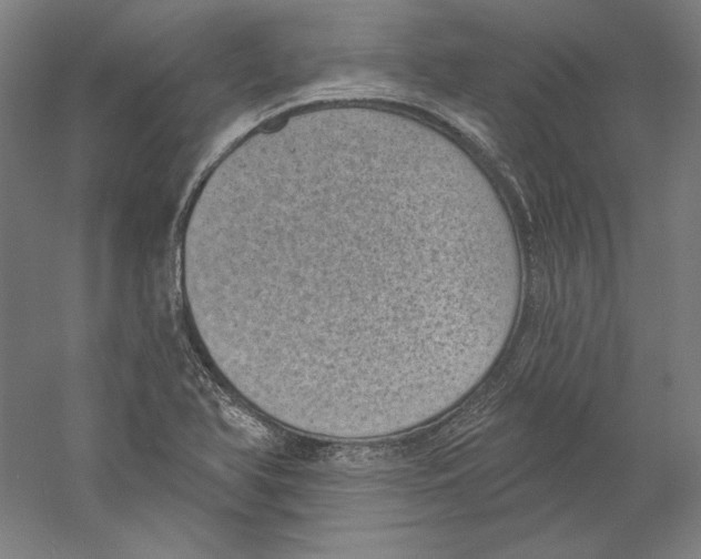 X0000059221366200511111511