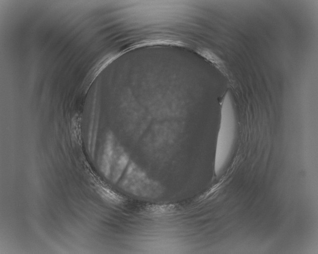 X0000059221369200511111510