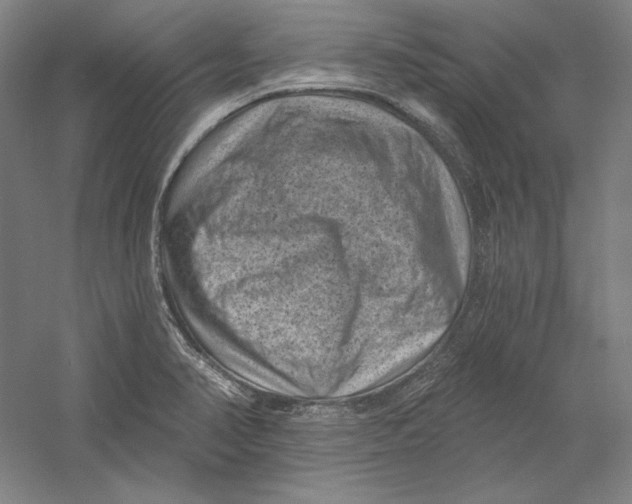 X0000059221374200511111510