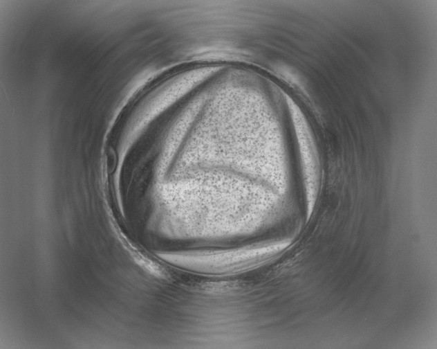 X0000059221376200511111510