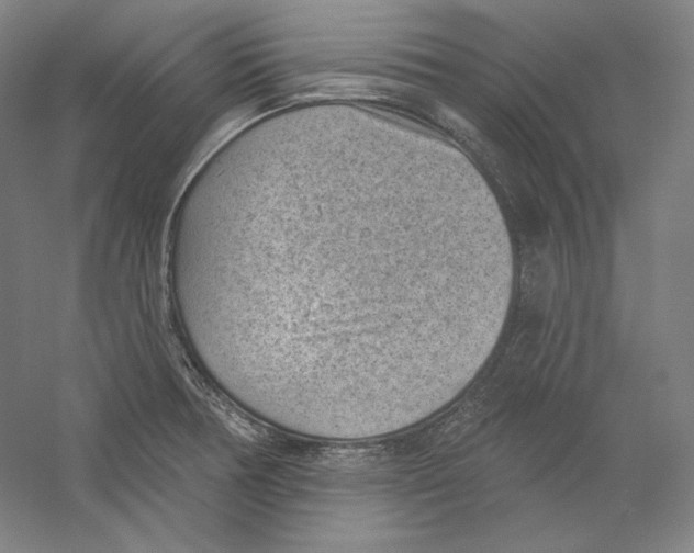 X0000059221378200511111510