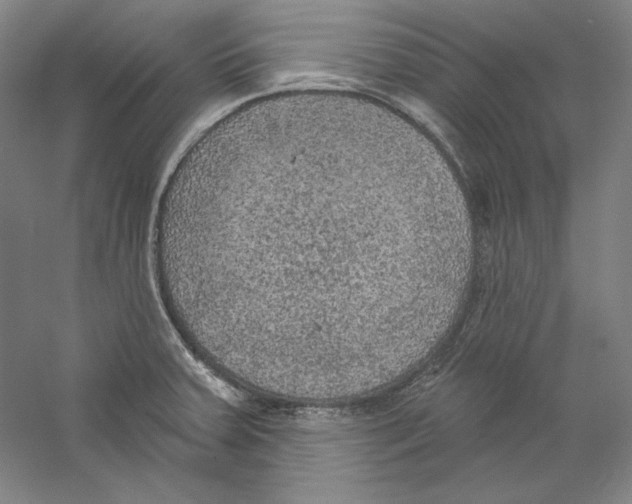 X0000059221379200511111510
