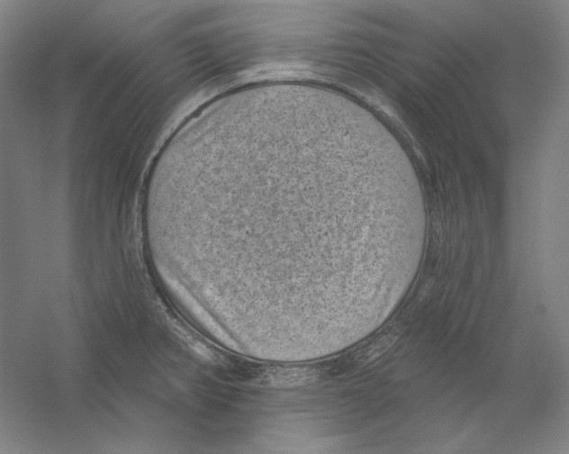 X0000059221382200511111510