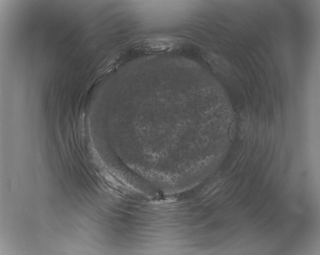 X0000059221394200511111509