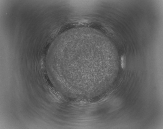 X0000059221395200511111509