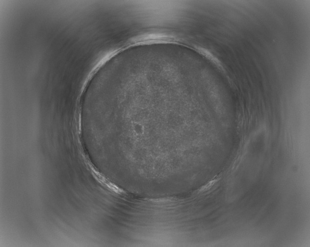 X0000059221413200511111509