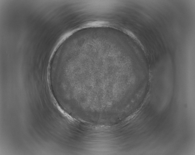 X0000059221421200511111510