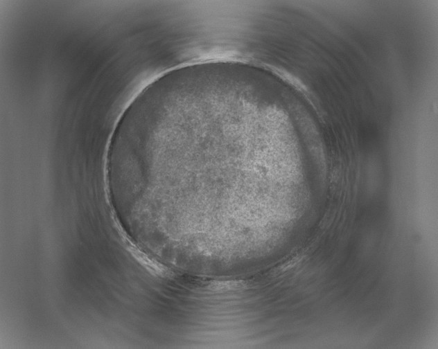 X0000059221423200511111510