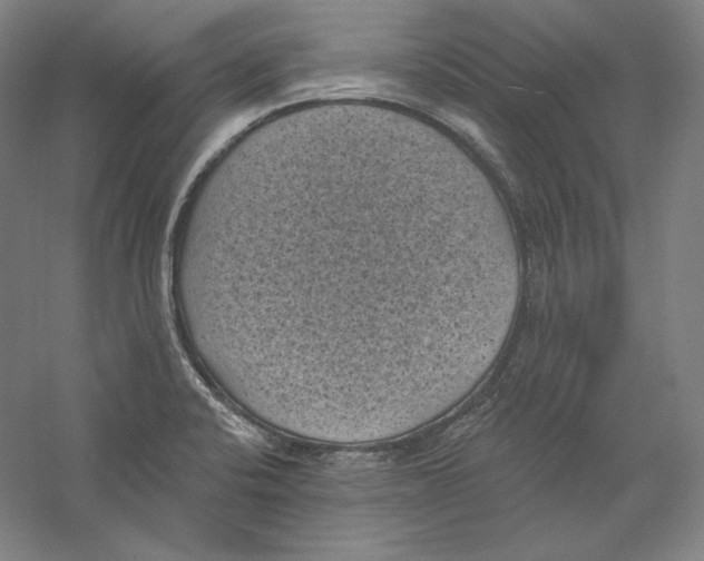 X0000059221424200511111510