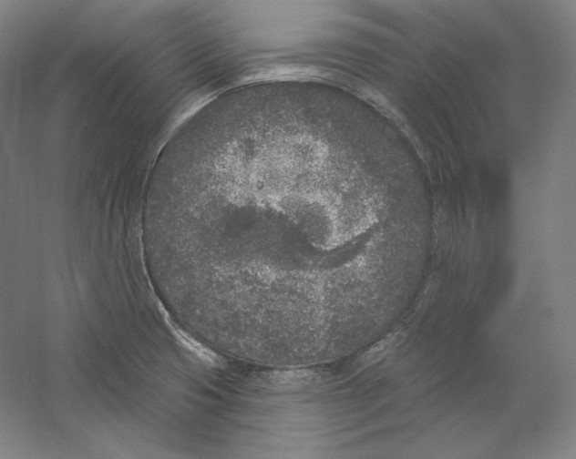 X0000059221425200511111510