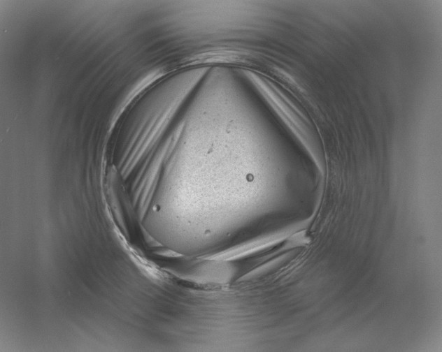 X0000059221426200511111510