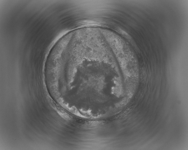 X0000059221427200511111510